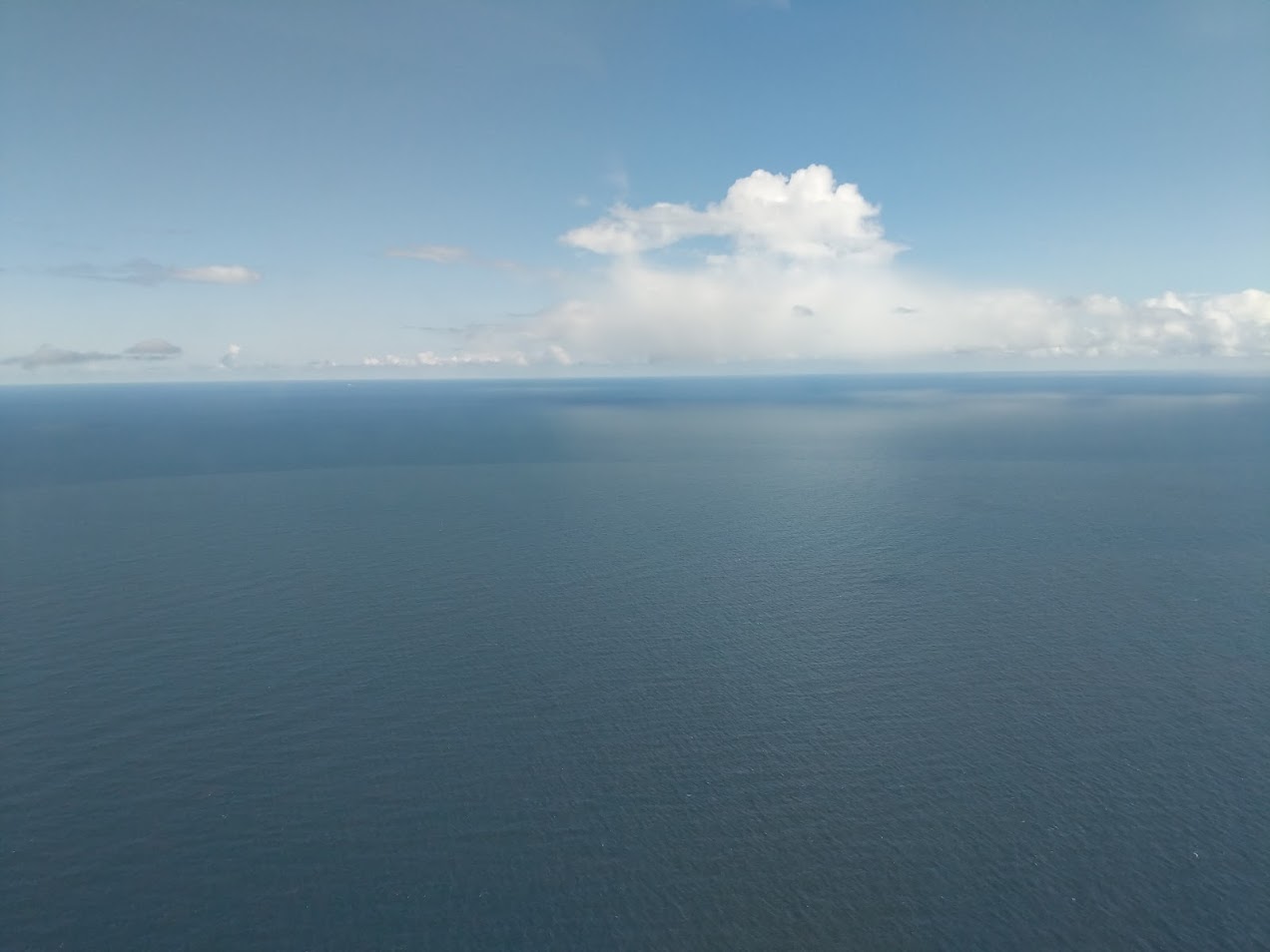 PXL_20210501_121311780