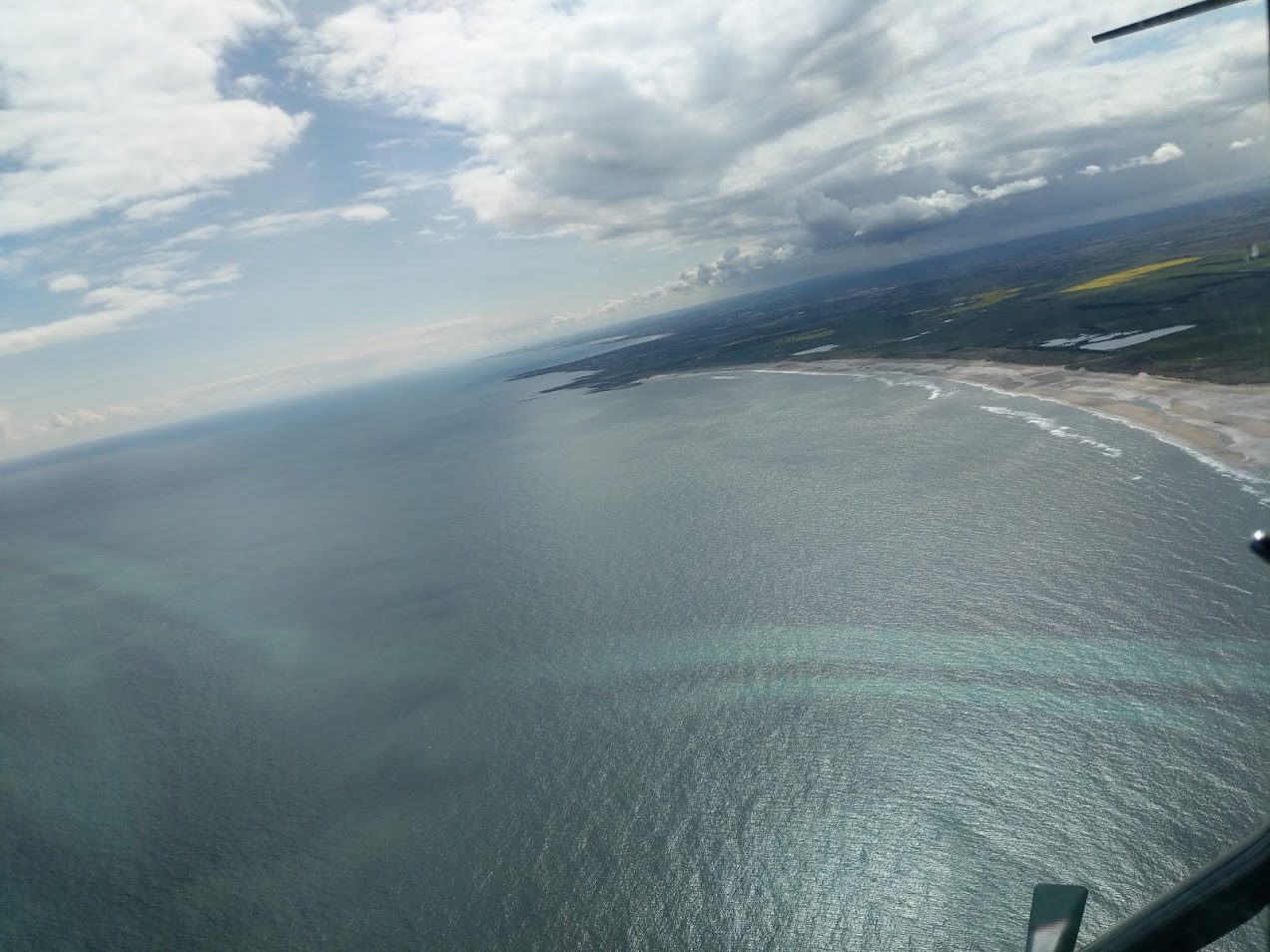 PXL_20210501_120436787