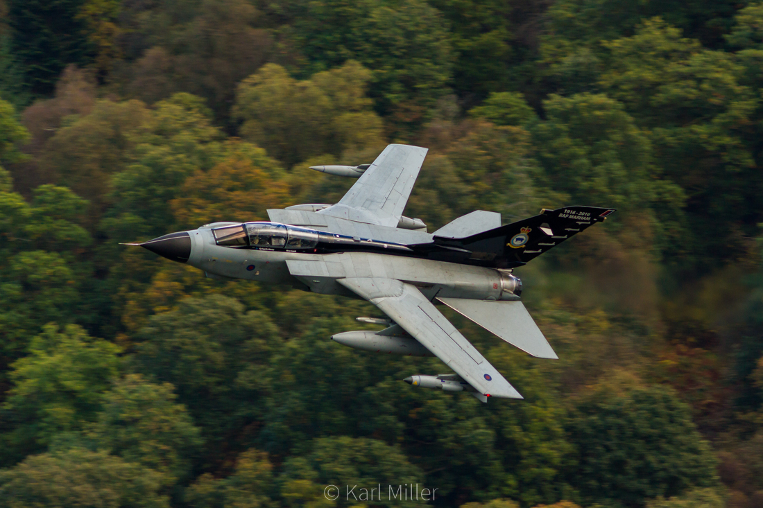 main.php?g2_view=core.DownloadItem&g2_itemId=8232&g2_serialNumber=1